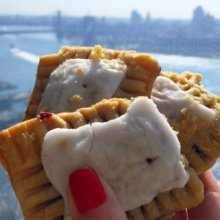 Gluten-free pop tarts from Remixed Bakery